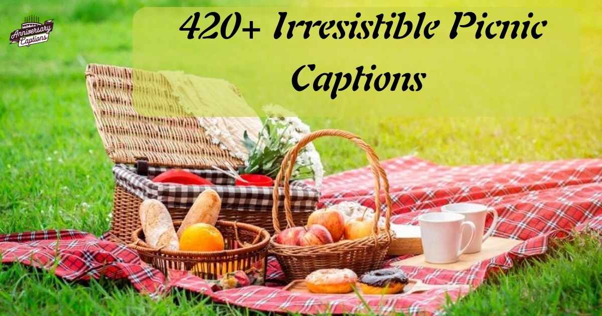 420+ Irresistible Picnic Captions