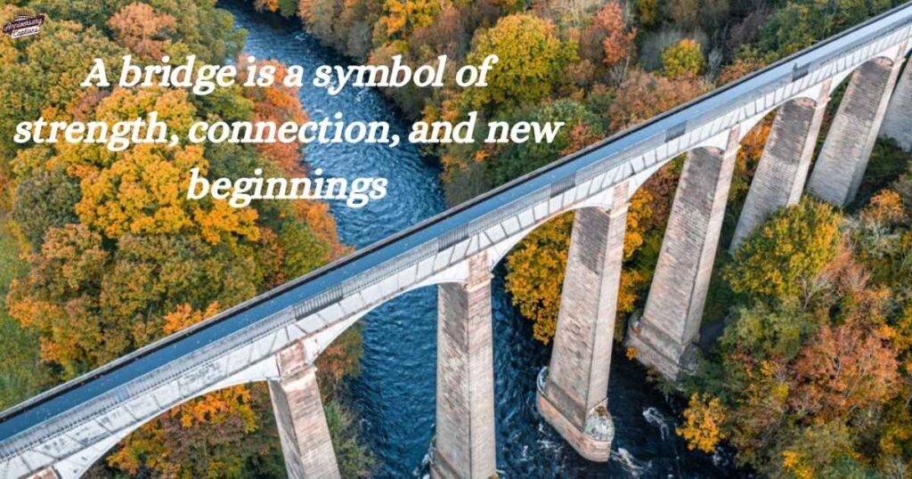 Bridge Quotes for Instagram