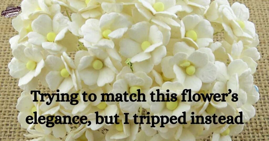 Funny White Flower Captions for Instagram