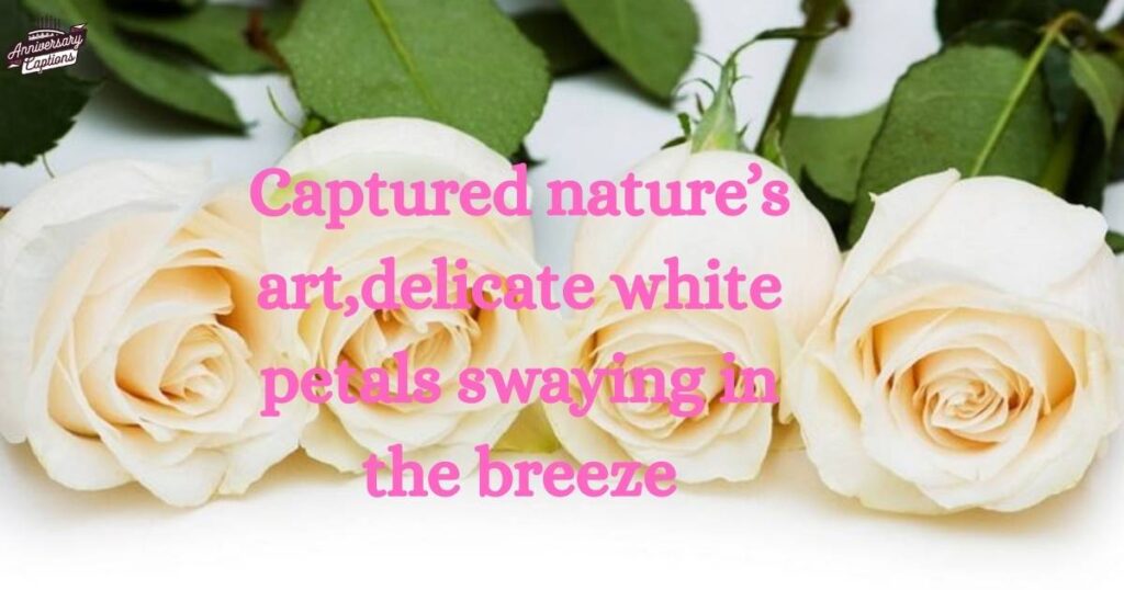 White Flower Picture Captions for Instagram