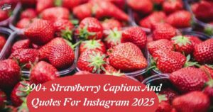 390+ Strawberry Captions And Quotes For Instagram 2025