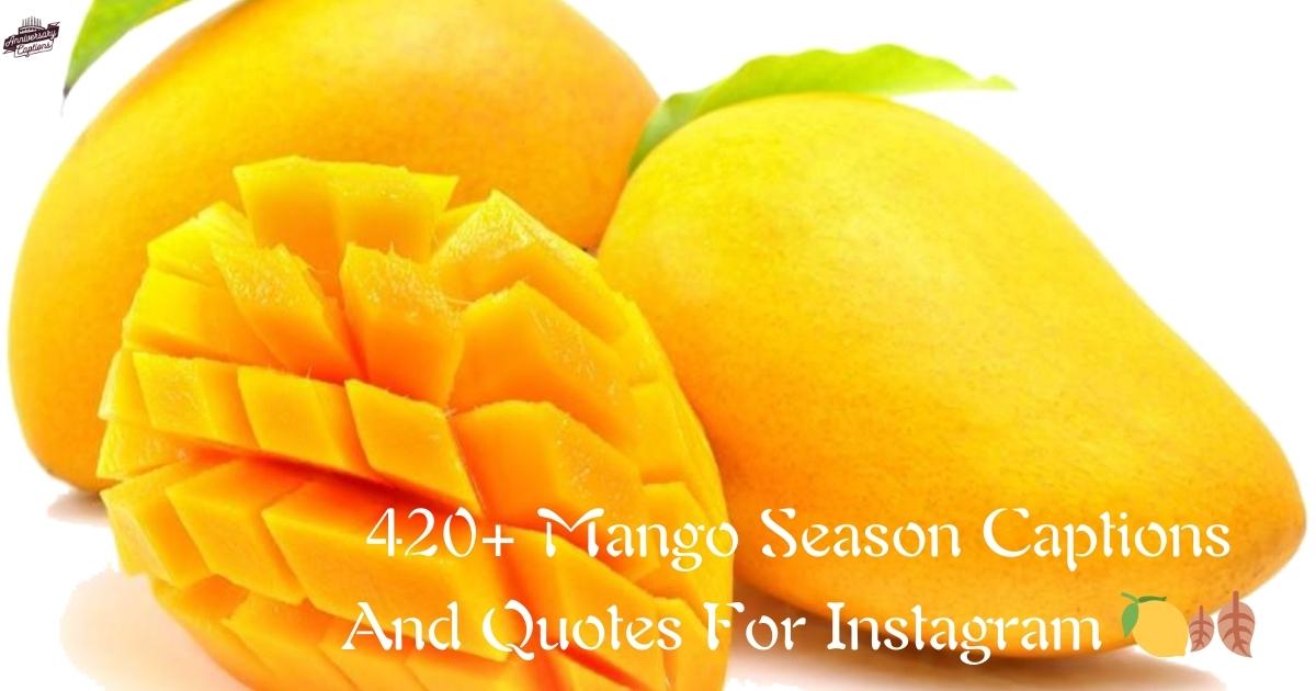 420+ Mango Season Captions And Quotes For Instagram 🍋🍂